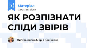 ЯК РОЗПІЗНАТИ СЛІДИ ЗВІРІВ