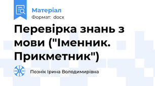 Перевірка знань з мови ("Іменник. Прикметник")