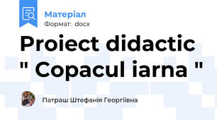 Proiect didactic " Copacul iarna "