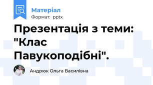 Презентація з теми: "Клас Павукоподібні".