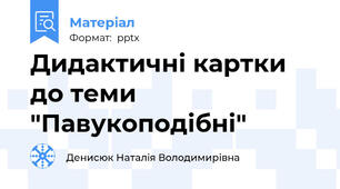 Дидактичні картки до теми "Павукоподібні"