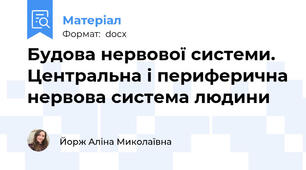 Будова нервової системи. Центральна і периферична нервова система людини