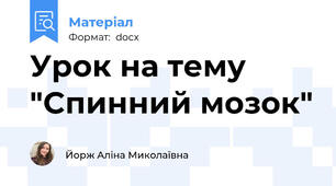 Урок на тему "Спинний мозок"