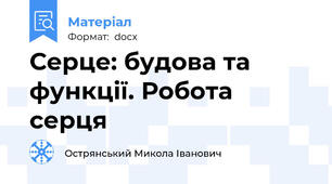 Серце: будова та функції. Робота серця