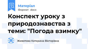Конспект уроку з природознавства з теми: "Погода взимку"