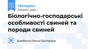 Біологічно-господарські особливості свиней та породи свиней