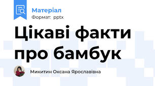 Цікаві факти про бамбук
