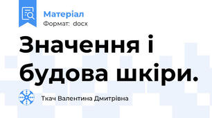 Значення і будова шкіри.