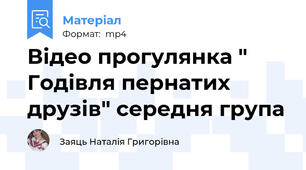 Відео прогулянка " Годівля пернатих друзів" середня група