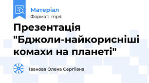 Презентація "Бджоли-найкорисніші комахи на планеті"
