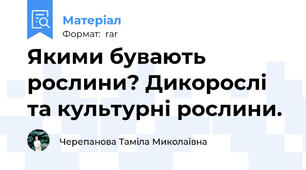 Якими бувають рослини? Дикорослі та культурні рослини.