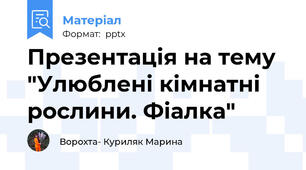 Презентація на тему "Улюблені кімнатні рослини. Фіалка"