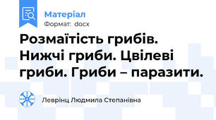 Розмаїтість грибів. Нижчі гриби. Цвілеві гриби. Гриби – паразити.