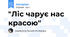 "Ліс чарує нас красою"