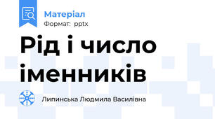 Рід і число іменників