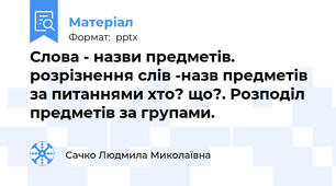 Слова - назви предметів. розрізнення слів -назв предметів за питаннями хто? що?. Розподіл предметів за групами.