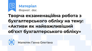 Творча екзаменаційна робота з бухгалтерського обліку на тему: «Активи як найважливіший об'єкт бухгалтерського обліку»