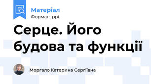 Серце. Його будова та функції
