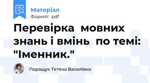 Перевірка  мовних знань і вмінь  по темі: "Іменник."