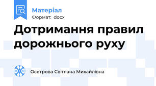 Дотримання правил дорожнього руху