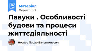 Павуки . Особливості будови та процеси життєдіяльності