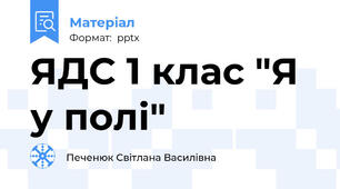 ЯДС 1 клас "Я у полі"