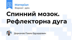 Спинний мозок. Рефлекторна дуга