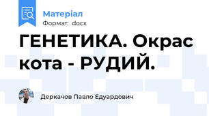 ГЕНЕТИКА. Окрас кота - РУДИЙ.