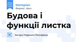 Будова і функції листка