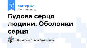 Будова серця людини. Оболонки серця