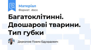 Багатоклітинні. Двошарові тварини. Тип губки