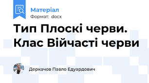 Тип Плоскі черви. Клас Війчасті черви
