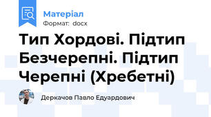 Тип Хордові. Підтип Безчерепні. Підтип Черепні (Хребетні)