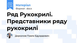 Ряд Рукокрилі. Представники ряду рукокрилі