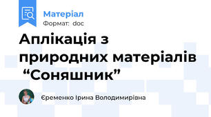 Аплікація з природних матеріалів  “Соняшник”