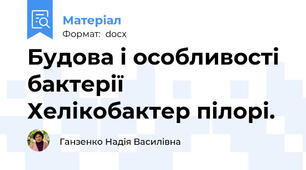 Будова і особливості бактерії Хелікобактер пілорі.