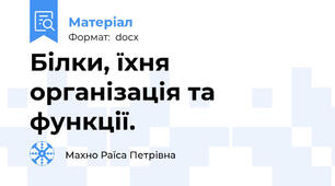 Білки, їхня організація та функції.