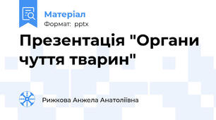Презентація "Органи чуття тварин"