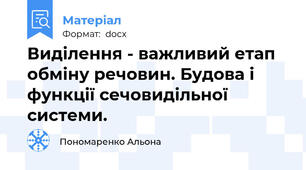 Виділення - важливий етап обміну речовин. Будова і функції сечовидільної системи.