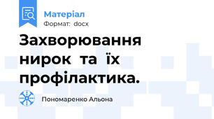 Захворювання  нирок  та  їх  профілактика.