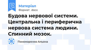 Будова нервової системи. Центральна і периферична нервова система людини. Спинний мозок.