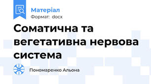 Соматична та вегетативна нервова система