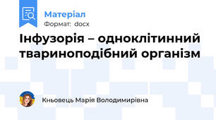 Інфузорія – одноклітинний твариноподібний організм