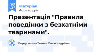Презентація "Правила поведінки з безхатніми тваринами".