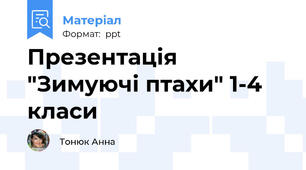 Презентація "Зимуючі птахи" 1-4 класи