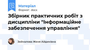 Збірник практичних робіт з дисципліни "Інформаційне забезпечення управління"
