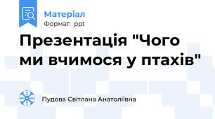 Презентація "Чого ми вчимося у птахів"