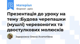 Презентація до уроку на тему :Будова черепашки (мушлі) черевоногих та двостулкових молюсків
