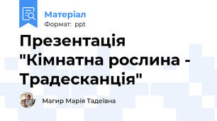 Презентація "Кімнатна рослина - Традесканція"