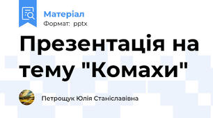 Презентація на тему "Комахи"